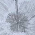 Perceptual Drawing Drawings